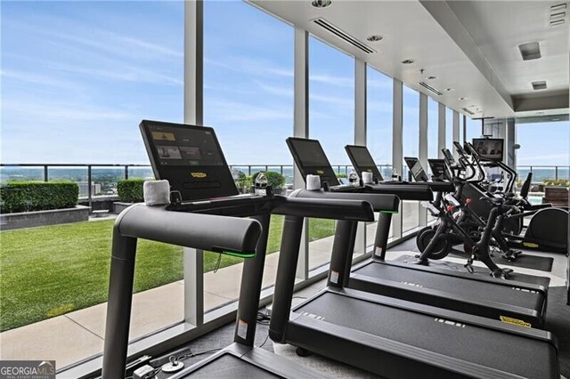 workout area featuring a healthy amount of sunlight and expansive windows