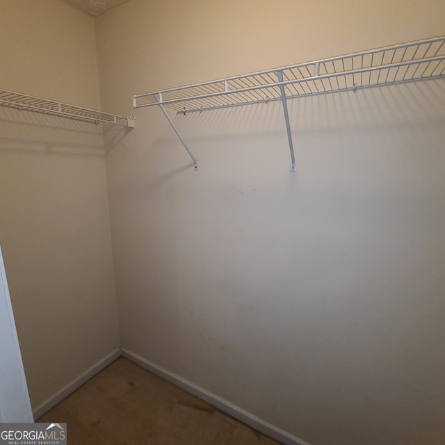 spacious closet featuring carpet flooring