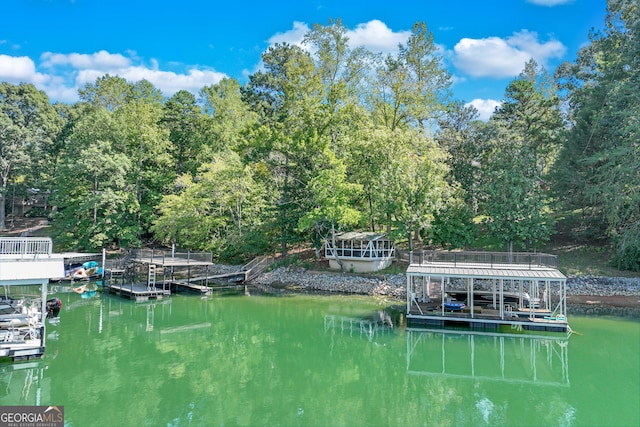 dock area with a water view