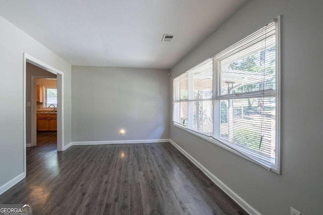 empty room with plenty of natural light, sink, and dark wood-type flooring