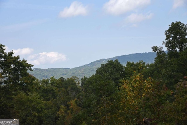 property view of mountains