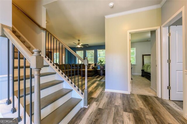 staircase with ceiling fan, hardwood / wood-style flooring, and ornamental molding