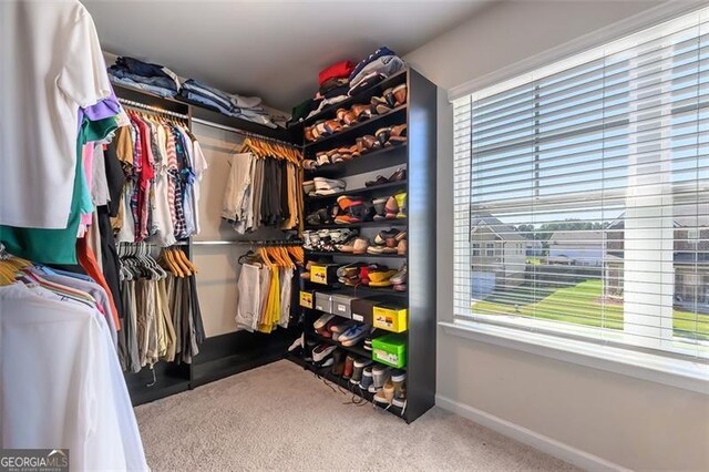 walk in closet featuring carpet