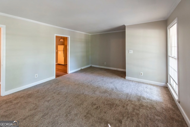 spare room with ornamental molding and carpet floors