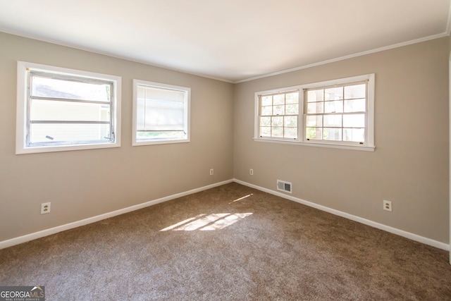 spare room featuring carpet and ornamental molding