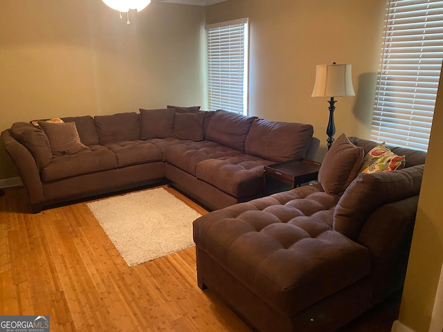 living room with ceiling fan and light wood-type flooring