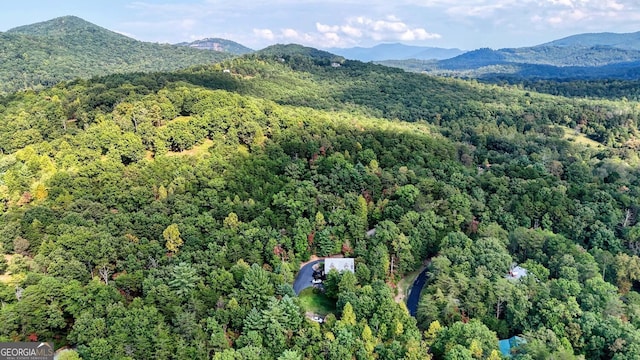 aerial view with a mountain view