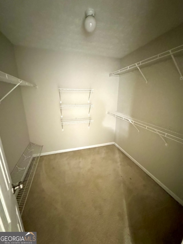 walk in closet featuring carpet flooring