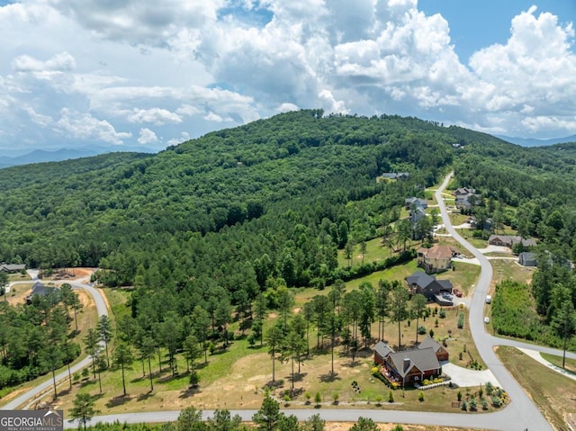 birds eye view of property with a mountain view