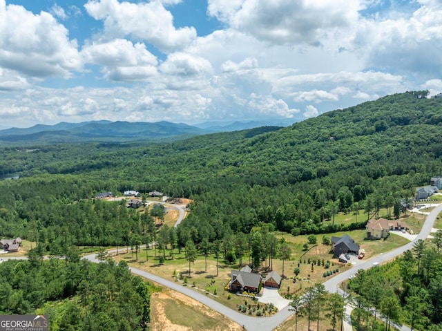 property view of mountains