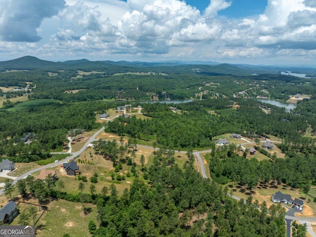 birds eye view of property featuring a water and mountain view