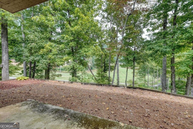 view of local wilderness
