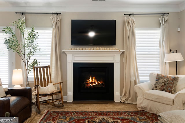 living room featuring ornamental molding and a healthy amount of sunlight