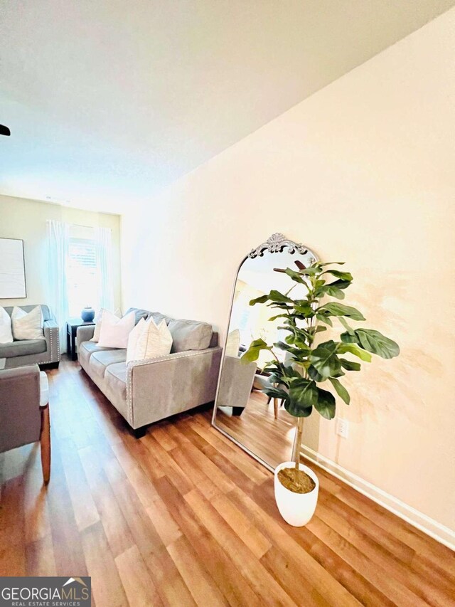 living room featuring hardwood / wood-style floors