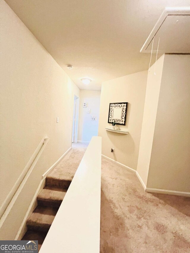 staircase featuring carpet flooring