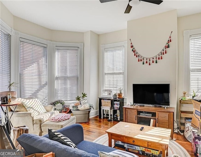 living room featuring ceiling fan and hardwood / wood-style floors