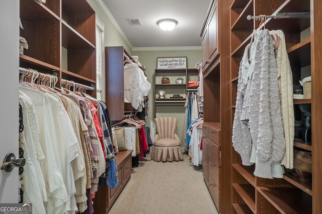 spacious closet with light colored carpet