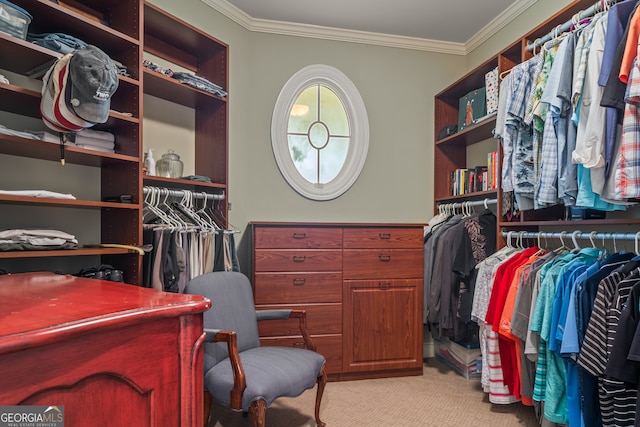 walk in closet with light colored carpet