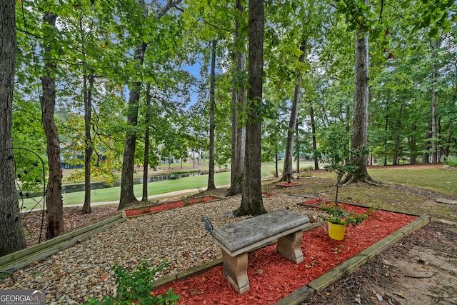 view of property's community featuring a yard