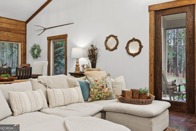 living room featuring lofted ceiling, dark wood-type flooring, and wood walls