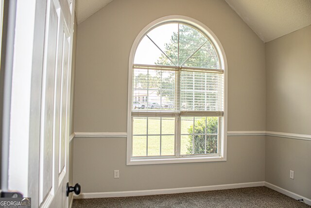 carpeted spare room featuring vaulted ceiling