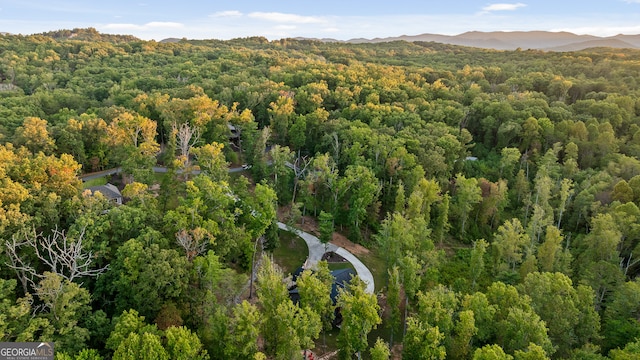 aerial view with a mountain view