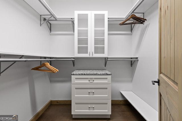 spacious closet featuring dark hardwood / wood-style floors