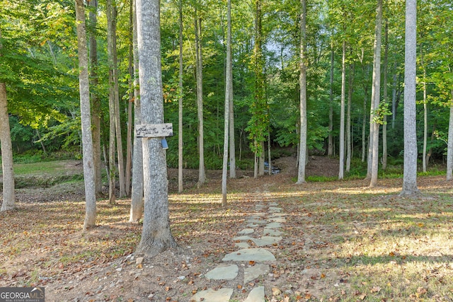 view of local wilderness