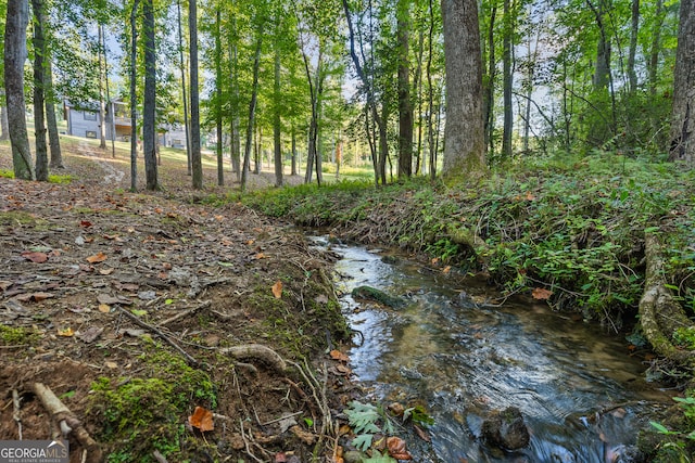 view of local wilderness