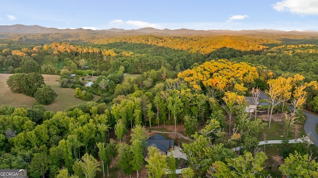 birds eye view of property with a mountain view