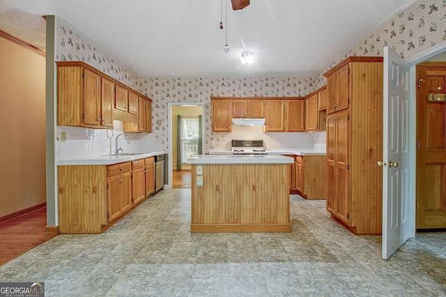 kitchen featuring sink, a textured ceiling, light hardwood / wood-style flooring, appliances with stainless steel finishes, and a center island