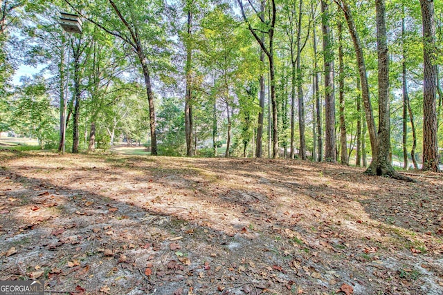 view of local wilderness