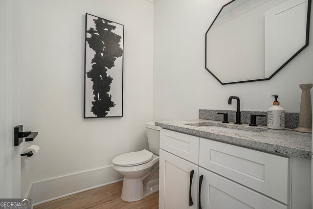 bathroom featuring toilet, vanity, and wood-type flooring