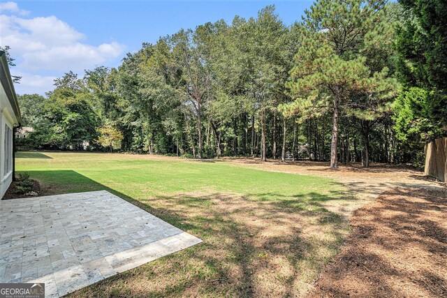 view of yard featuring a patio area