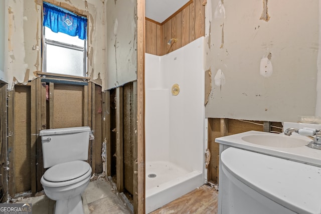 bathroom featuring a shower, vanity, and toilet