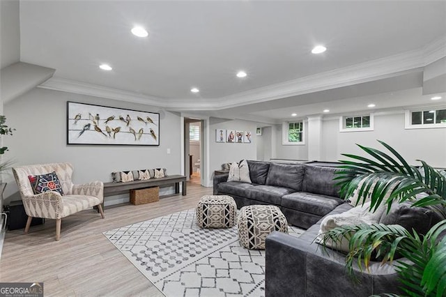 living room with light hardwood / wood-style flooring and crown molding