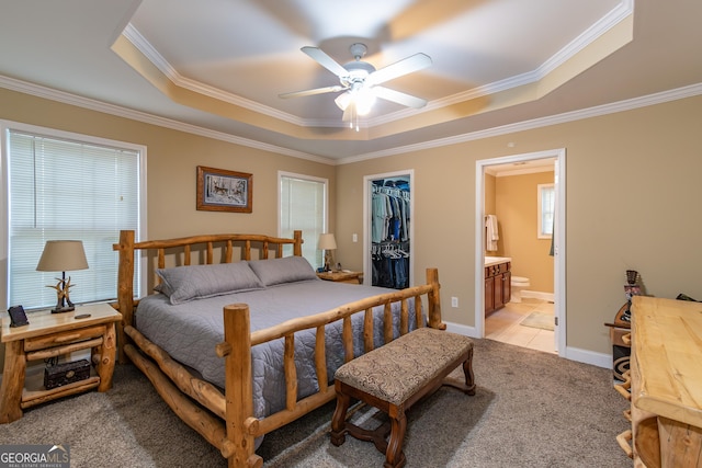 carpeted bedroom featuring a walk in closet, a closet, ceiling fan, a tray ceiling, and crown molding