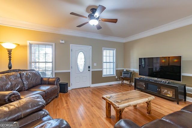 living room with ceiling fan, crown molding, and light wood-type flooring