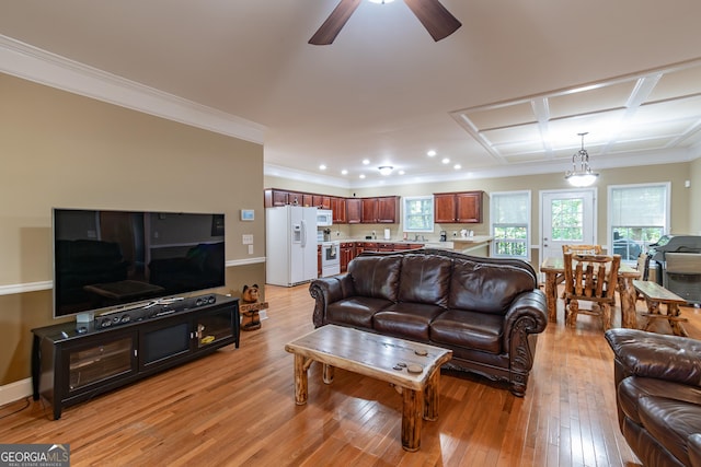 living room featuring ceiling fan, crown molding, and light hardwood / wood-style flooring