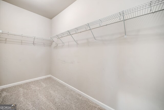 walk in closet with carpet