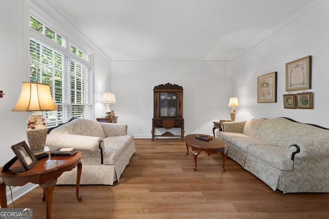 living room with ornamental molding and light hardwood / wood-style flooring