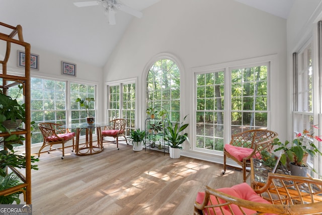 sunroom / solarium featuring vaulted ceiling and ceiling fan