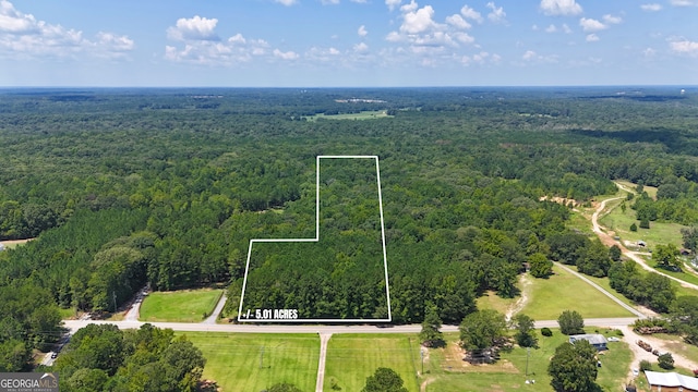 501 Padgett Rd, Senoia GA, 30276 land for sale