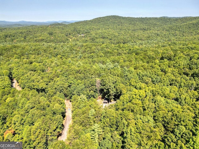 aerial view with a mountain view