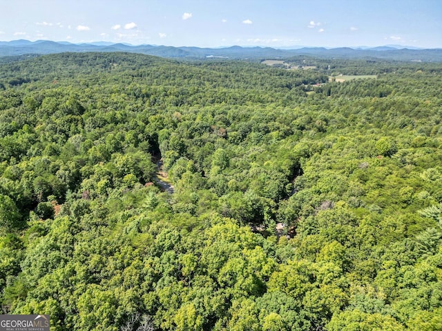 bird's eye view with a mountain view