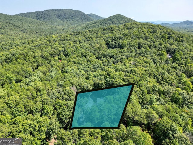 birds eye view of property with a mountain view