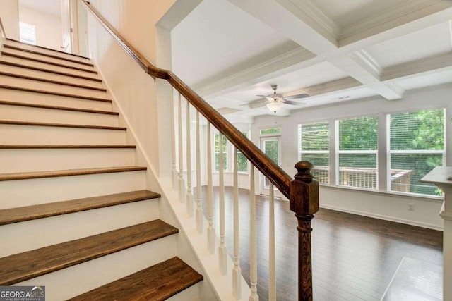 staircase featuring coffered ceiling, wood-type flooring, beam ceiling, ceiling fan, and ornamental molding