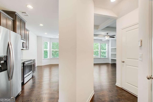 kitchen featuring dark brown cabinetry, dark hardwood / wood-style flooring, ceiling fan, and stainless steel appliances