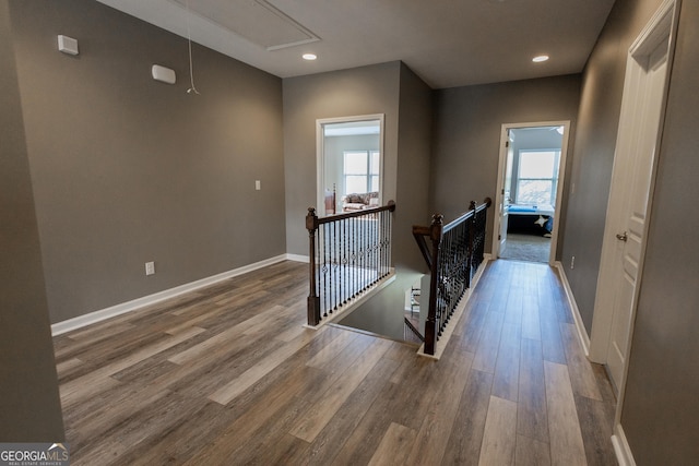 hall featuring hardwood / wood-style flooring and a wealth of natural light