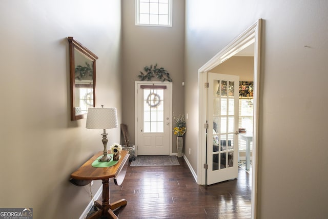 entrance foyer with a high ceiling and dark wood-type flooring